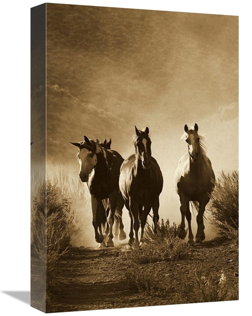 Global Gallery GCS-453704-1218-142 12 x 18 in. Horse Group of Four App