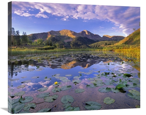 Global Gallery GCS-397000-30-142 30 in. Lily Pads & Reflection of Snow