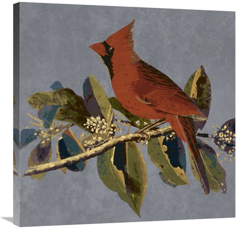 Global Gallery GCS-394159-3030-142 30 x 30 in. Audubon Decor - Male Ca