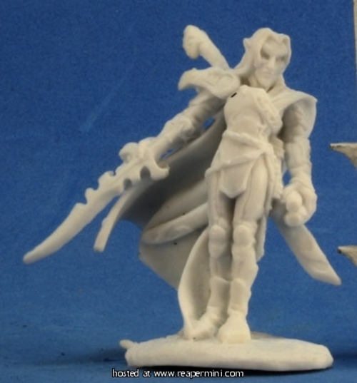 Reaper Miniatures REM77221 25mm Scale Ardynn, Elf Warrior Mage