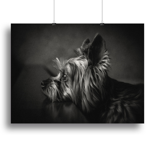 I have been waiting for you Canvas Print or Poster