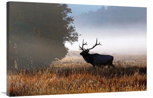 Global Gallery GCS-486502-40-142 40 in. Rolling Mist Art Print - Vic S