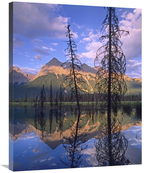 Global Gallery GCS-452152-2835-142 28 x 35 in. Chancellor Peak Reflect