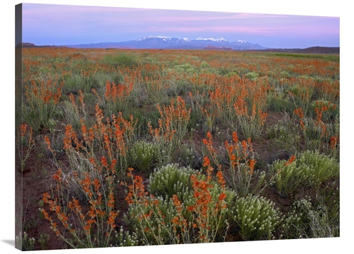 Global Gallery GCS-396868-3040-142 30 x 40 in. La Sal Mountains & Glob