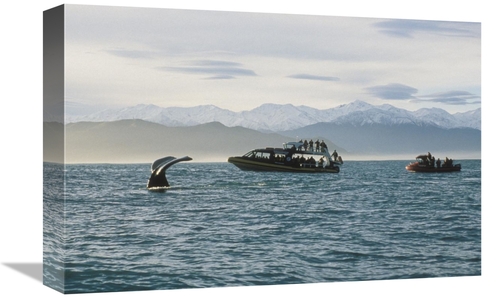 Global Gallery GCS-450784-1218-142 12 x 18 in. Sperm Whale Fluke & Tou