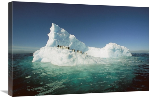 Global Gallery GCS-397792-2030-142 20 x 30 in. Adelie Penguin Group Ri