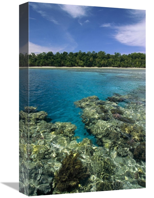 Global Gallery GCS-452343-1218-142 12 x 18 in. Coral Lagoon & Palm Lin