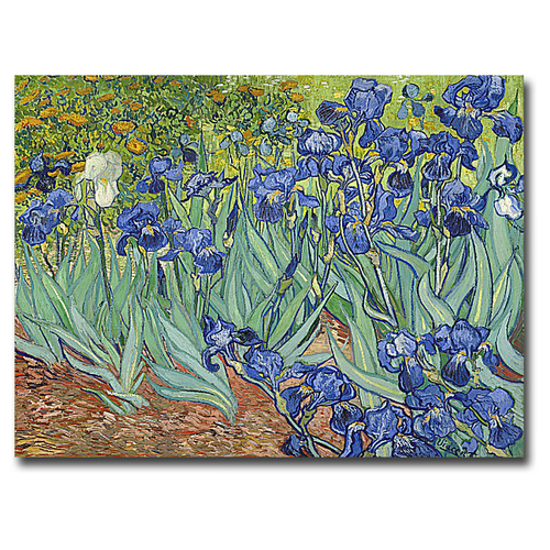 Artistic Home Gallery 1216L398IG Irises, 1889 by Vincent Van Gogh 