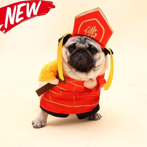 Funny Dog Cat Buddha Costumes Tang Monk Cosplay