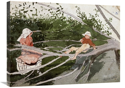 Global Gallery GCS-268125-30-142 30 in. Out on a Limb Art Print - Wins