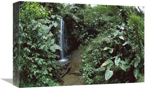 Global Gallery GCS-451643-1218-142 12 x 18 in. Andean Cloud Forest&#44