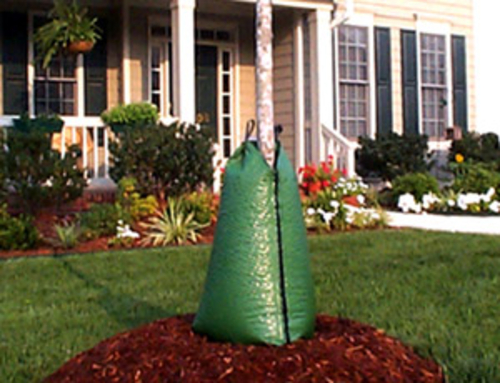 Treegator TRG98183R 20oz Treegator Original