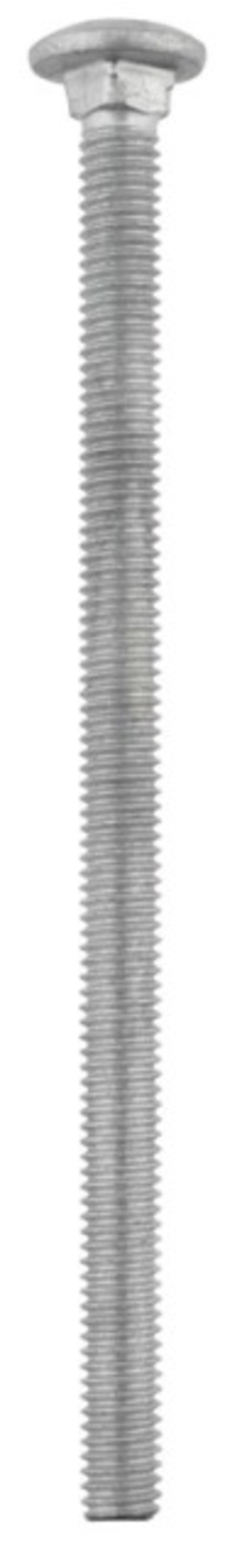 Hillman 812561 0.312 x 5.5 in. Hot Dipped Galvanized Carriage Screw Bo