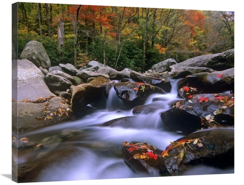 Global Gallery GCS-397203-2835-142 28 x 35 in. Little Pigeon River Cas