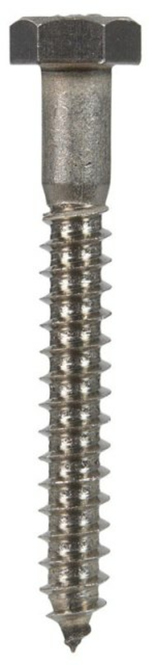 Hillman 832038 0.312 x 2.25 in. Stainless Steel Lag Bolt