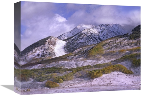 Global Gallery GCS-396172-1216-142 12 x 16 in. Elk Mountains with Snow