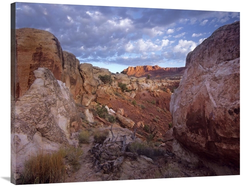 Global Gallery GCS-396193-3040-142 30 x 40 in. Meeks Mesa, Capitol