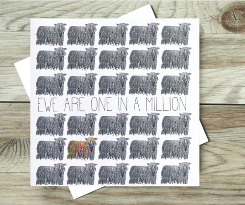 Mixed Pack 6 Caption Cards by Jane Haigh, made in UK. FREE P&P