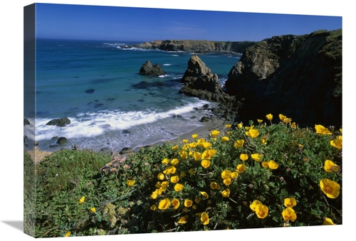 Global Gallery GCS-452036-1824-142 18 x 24 in. California Poppies on C