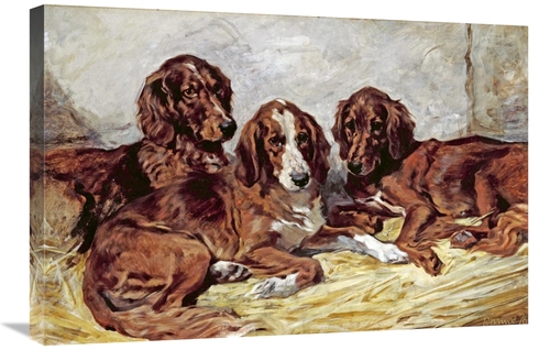 Global Gallery GCS-267962-30-142 30 in. Shot & His Friends - Three Iri