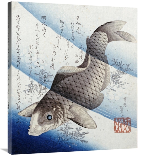 Global Gallery GCS-267371-36-142 36 in. Carp Among Aquatic Leaves Art 