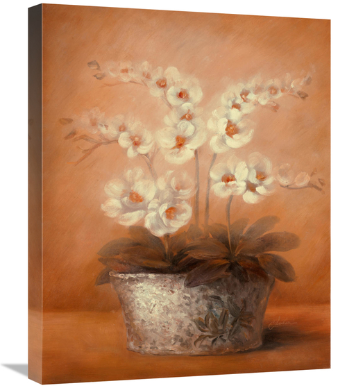 Global Gallery GCS-128580-2024-142 20 x 24 in. Abigail Art Print - Che