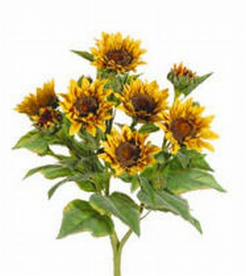 FBS456-YE 22 in. Yellow Sunflower Bush X9- Case of 4