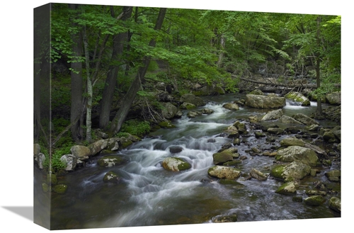 Global Gallery GCS-396787-1216-142 12 x 16 in. Little Stony Creek Flow