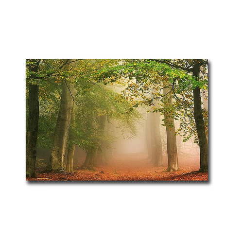 Artistic Home Gallery 1216Q788IG Dreambridge by Lars Van De Goor Premi