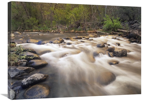 Global Gallery GCS-396241-2432-142 24 x 32 in. Oak Creek at Grasshoppe