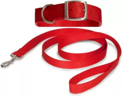 Doggie Combo of Adjustable Dog Collar and Leash for Large Dogs of All