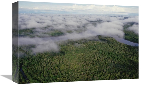 Global Gallery GCS-452988-1218-142 12 x 18 in. Kikori River & Runs Thr