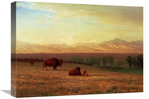 Global Gallery GCS-267725-22-142 22 in. Buffalo on the Plains Art Prin