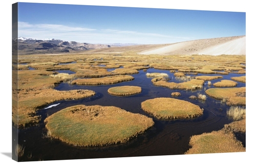 Global Gallery GCS-451494-2436-142 24 x 36 in. Andean Bofedal Near Sou