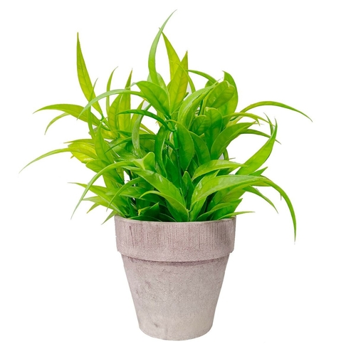 Decorative Plant Versa Plastic Iron (10,5 x 23 x 10,5 cm)