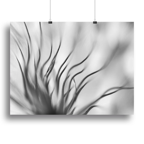 Abstract Boanical Canvas Print or Poster