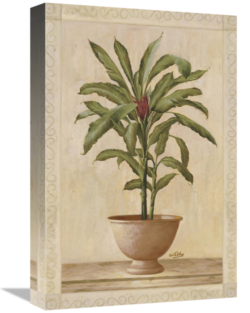 Global Gallery GCS-121180-1218-142 12 x 18 in. Potted Palm I Art Print