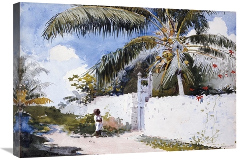 Global Gallery GCS-268131-30-142 30 in. A Garden in Nassau Art Print -