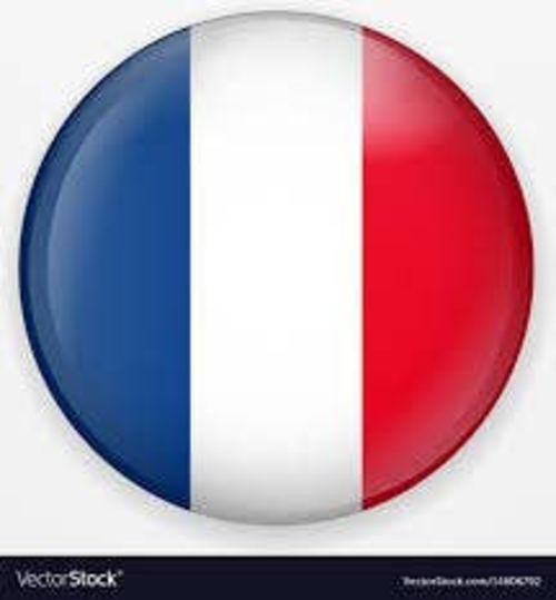 3 Inch Cloth Patch French Flag