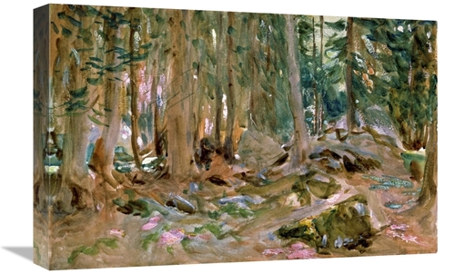 Global Gallery GCS-279987-22-142 22 in. Pine Forest Art Print - John S