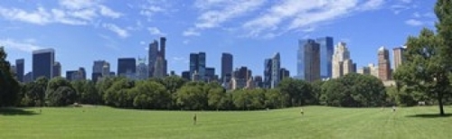 Panoramic Images PPI130663L Park with skyscrapers in the background  S