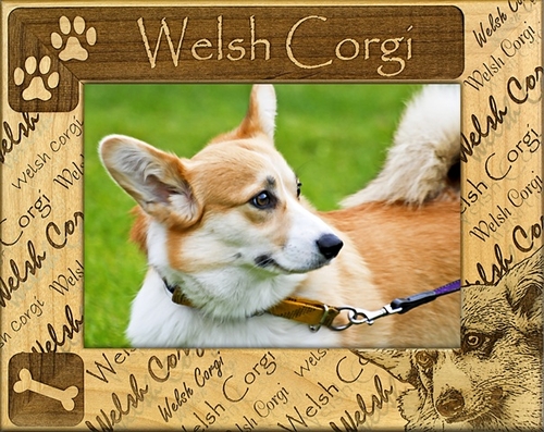 Giftworks Plus DBA0169 Welsh Corgi Alder Wood Frame- 3.5 x 5 In