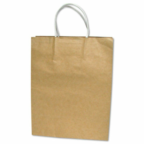 Consolidated Stamp 091566 Premium Large Brown Paper Shopping Bag- 50-B