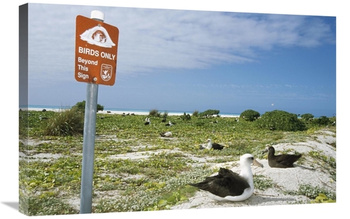 Global Gallery GCS-451448-2030-142 20 x 30 in. Sign Posted Birds Only 