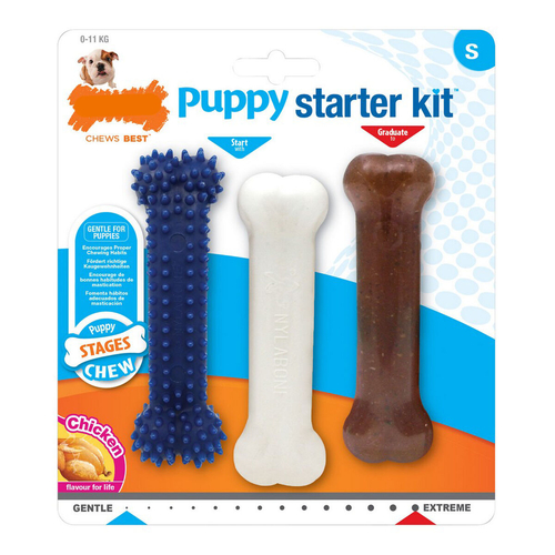 Dog chewing toy Nylabone Extreme Chew Starter Kit Puppies Chicken