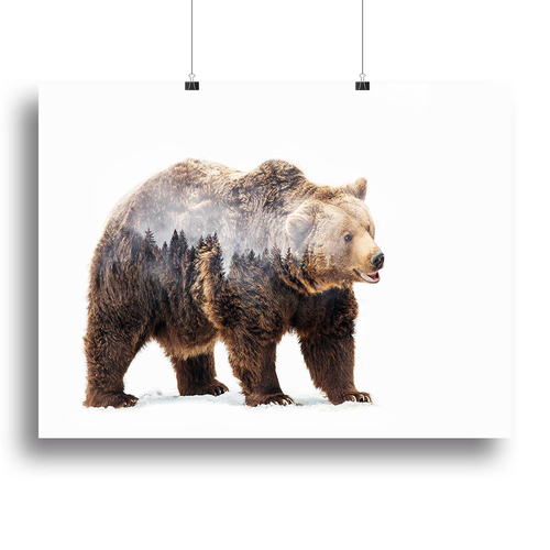 Bear Canvas Print or Poster