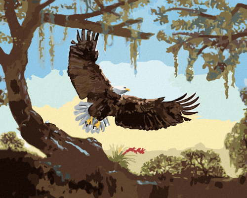 Zuty - Paint by Numbers - EAGLE TAKING OFF (D. RUSTY RUST), 40x50 cm