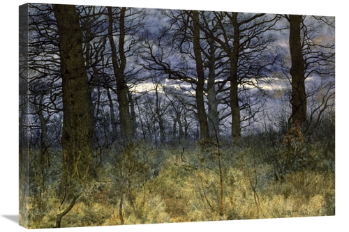 Global Gallery GCS-282113-30-142 30 in. The Woods at Dusk Art Print - 