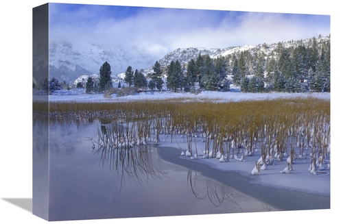 Global Gallery GCS-396856-1216-142 12 x 16 in. June Lake & Clearing St