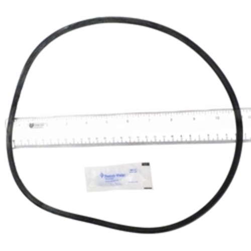 Baystate 252300010S Pool Tank O-Ring